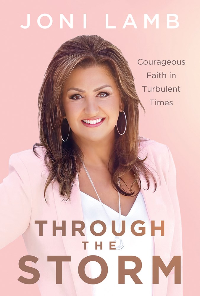 404627 Through The Storm Book
