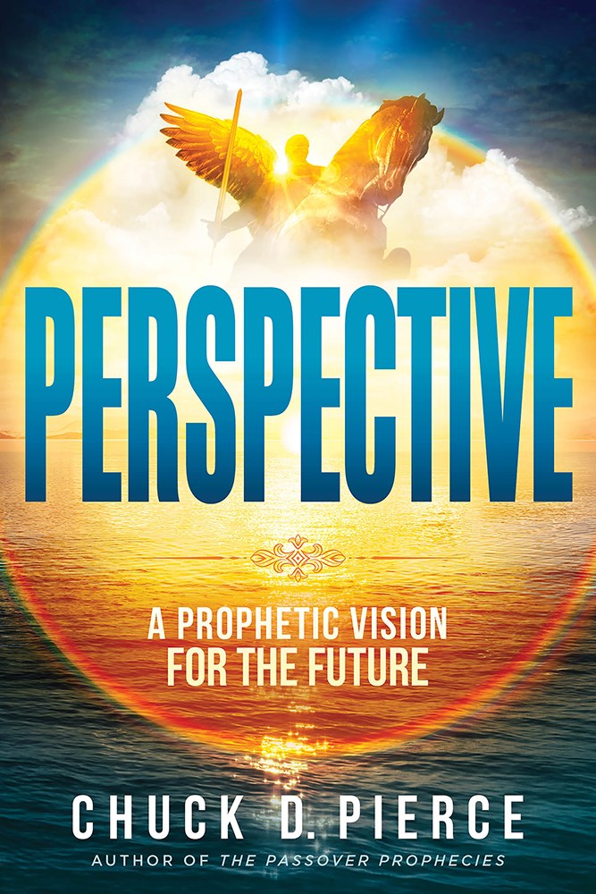 263933 Perspective Book - Trade Paper