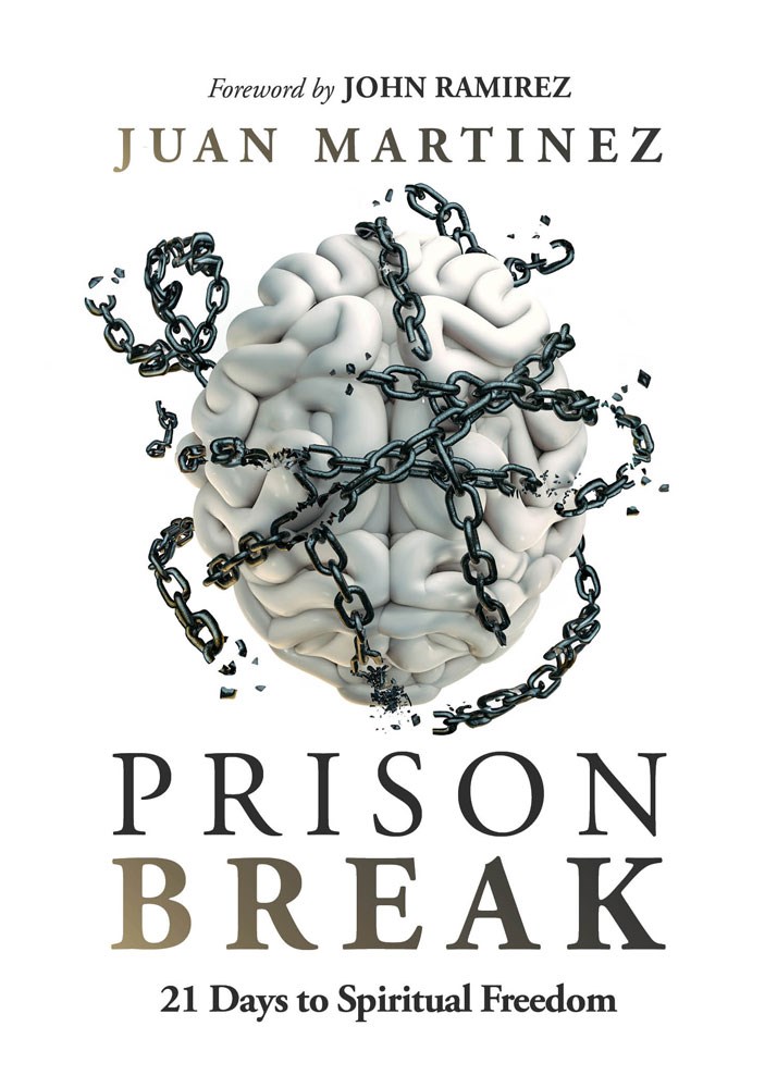 381635 Prison Break Book