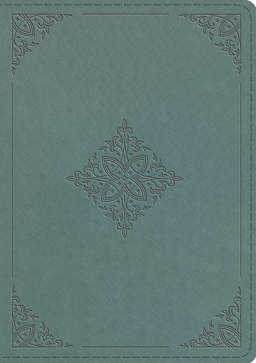 379633 ESV Chronological Bible - Paris Sky Fleur-de-lis Design TruTone