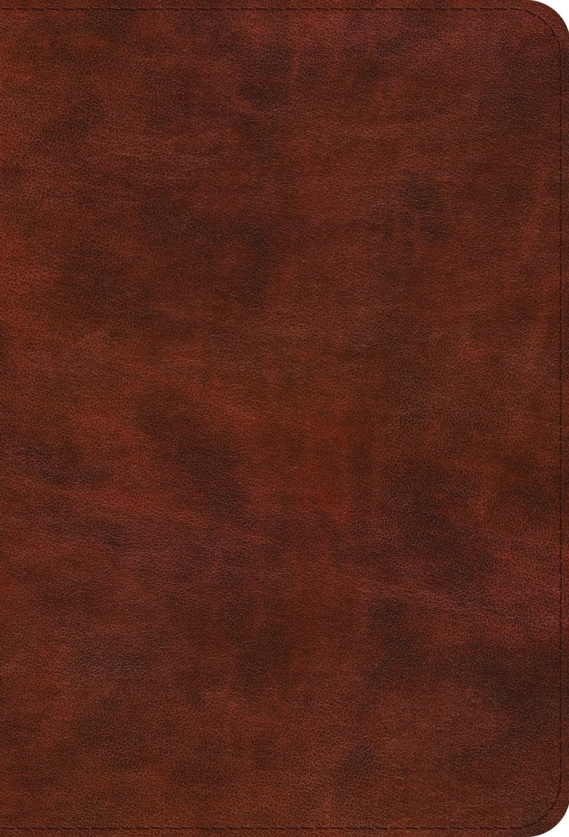 409096 ESV Bible Promises - Brown TruTone