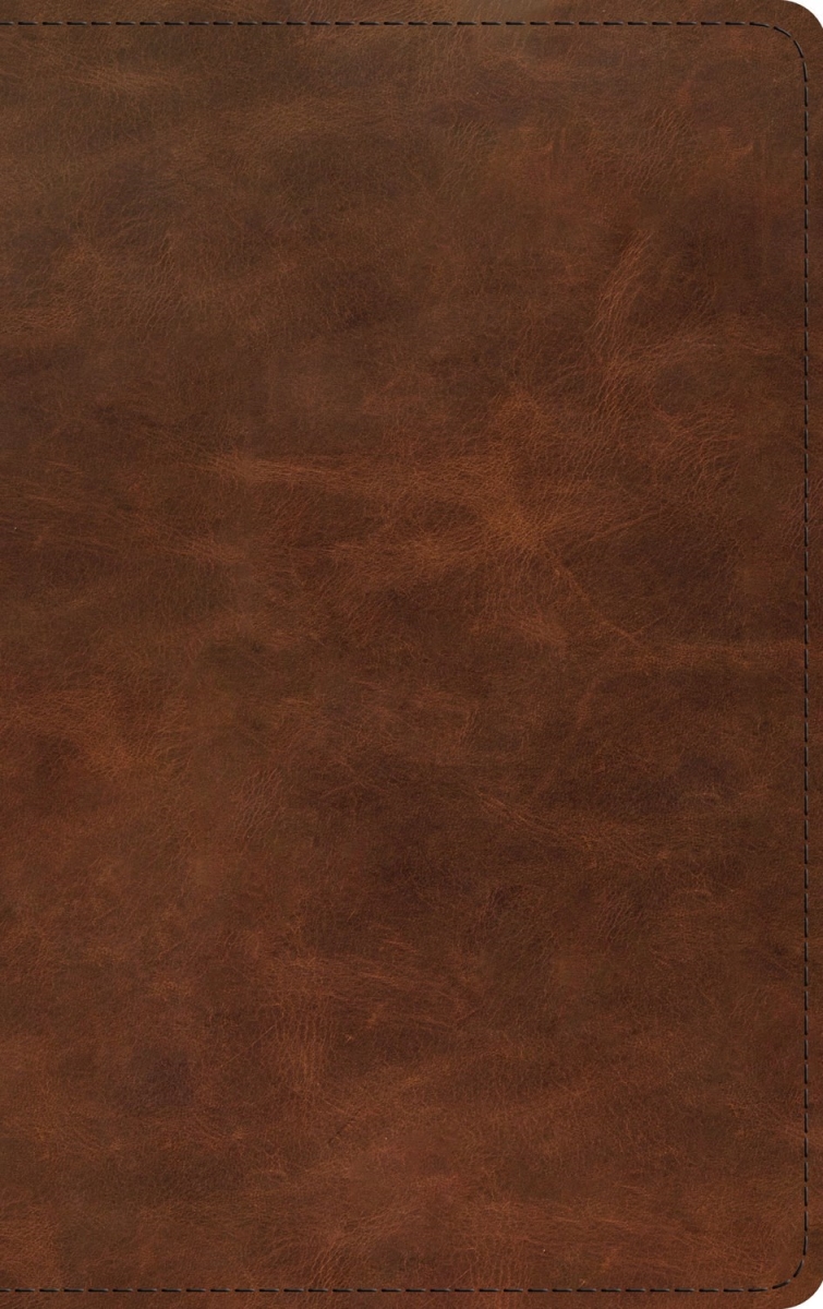471169 ESV Thinline Bible - Rl - Deep Brown Full Grain Leather