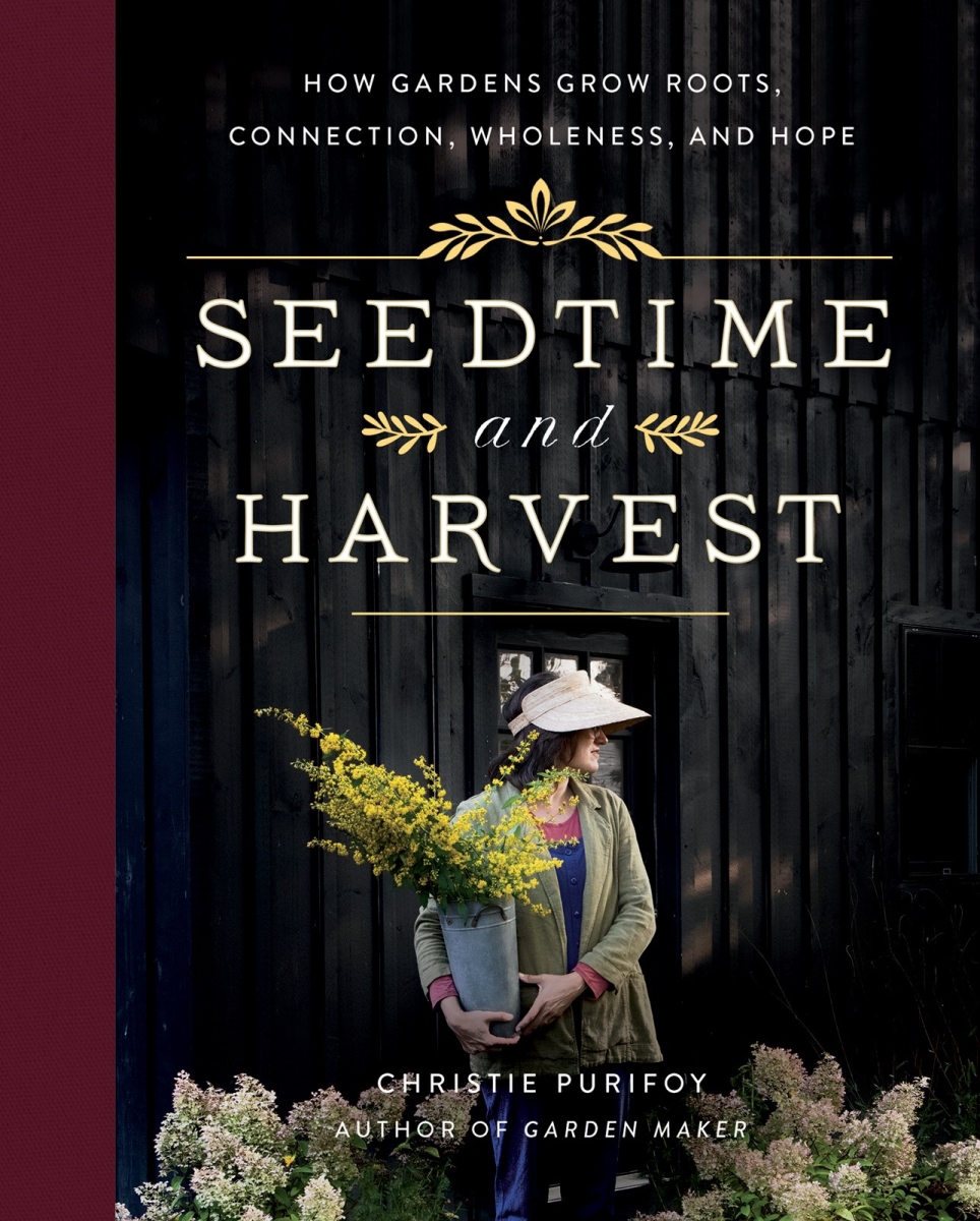 383273 Seedtime & Harvest Book