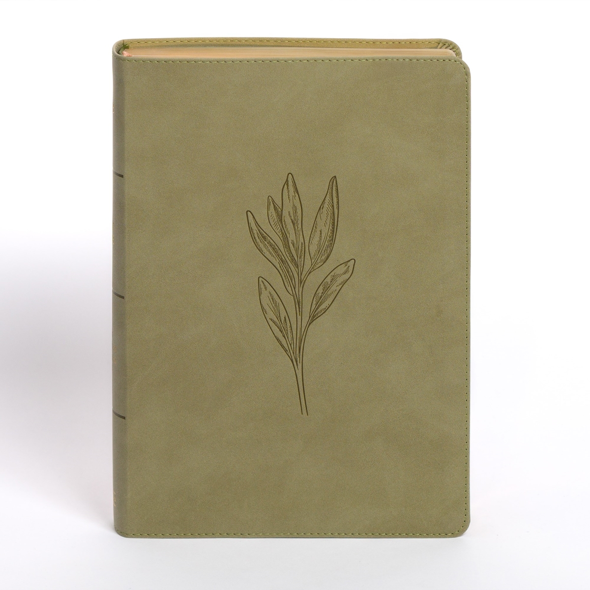 366166 NASB 2020 Super Giant Print Reference Sage Suede Soft Leather Touch Book