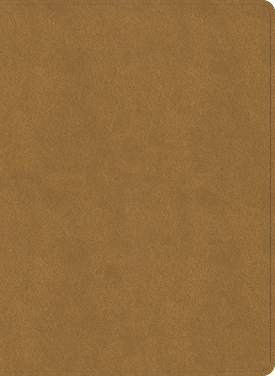 41277X NASB 2020 Study Bible - Camel SuedeSoft LeatherTouch