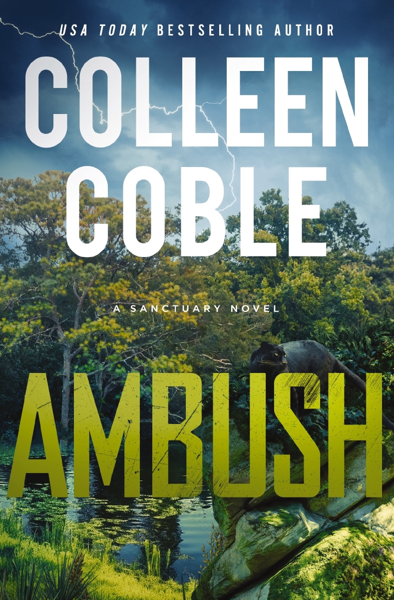 Nelson & Nelson Books 364304 Ambush - A Sanctuary Novel - Softcover