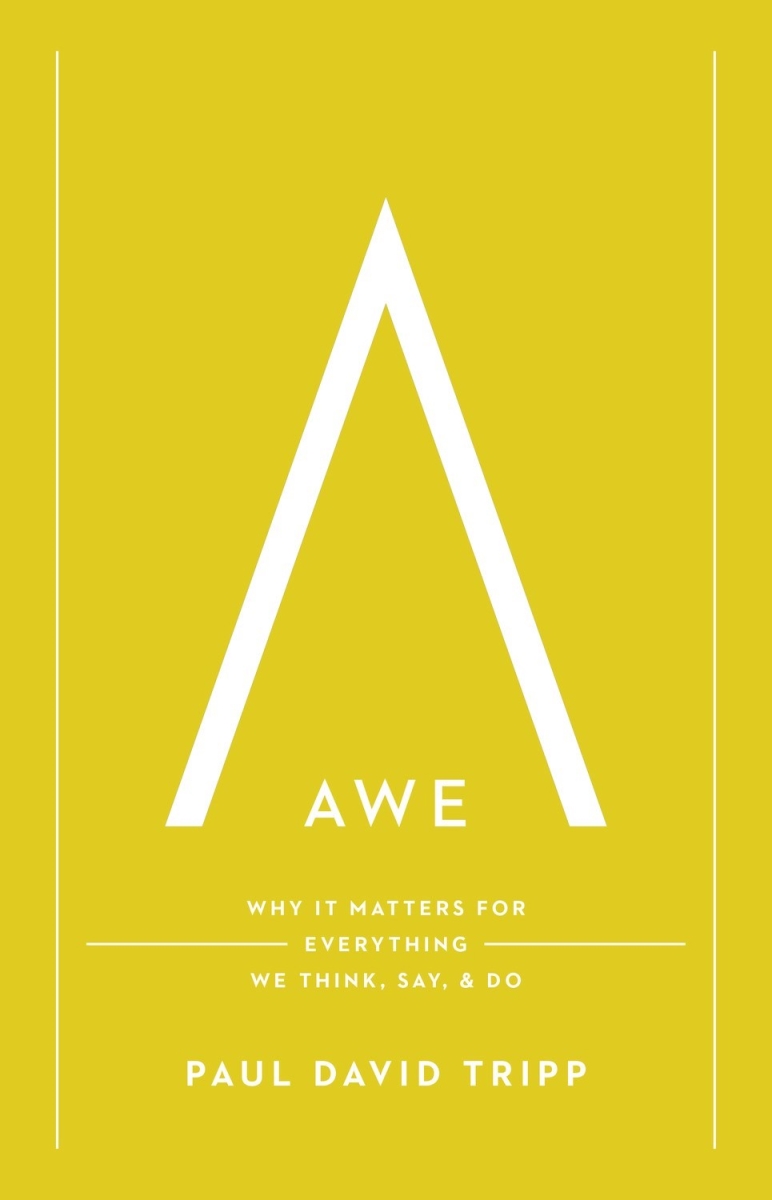 361535 Awe - Repack Book