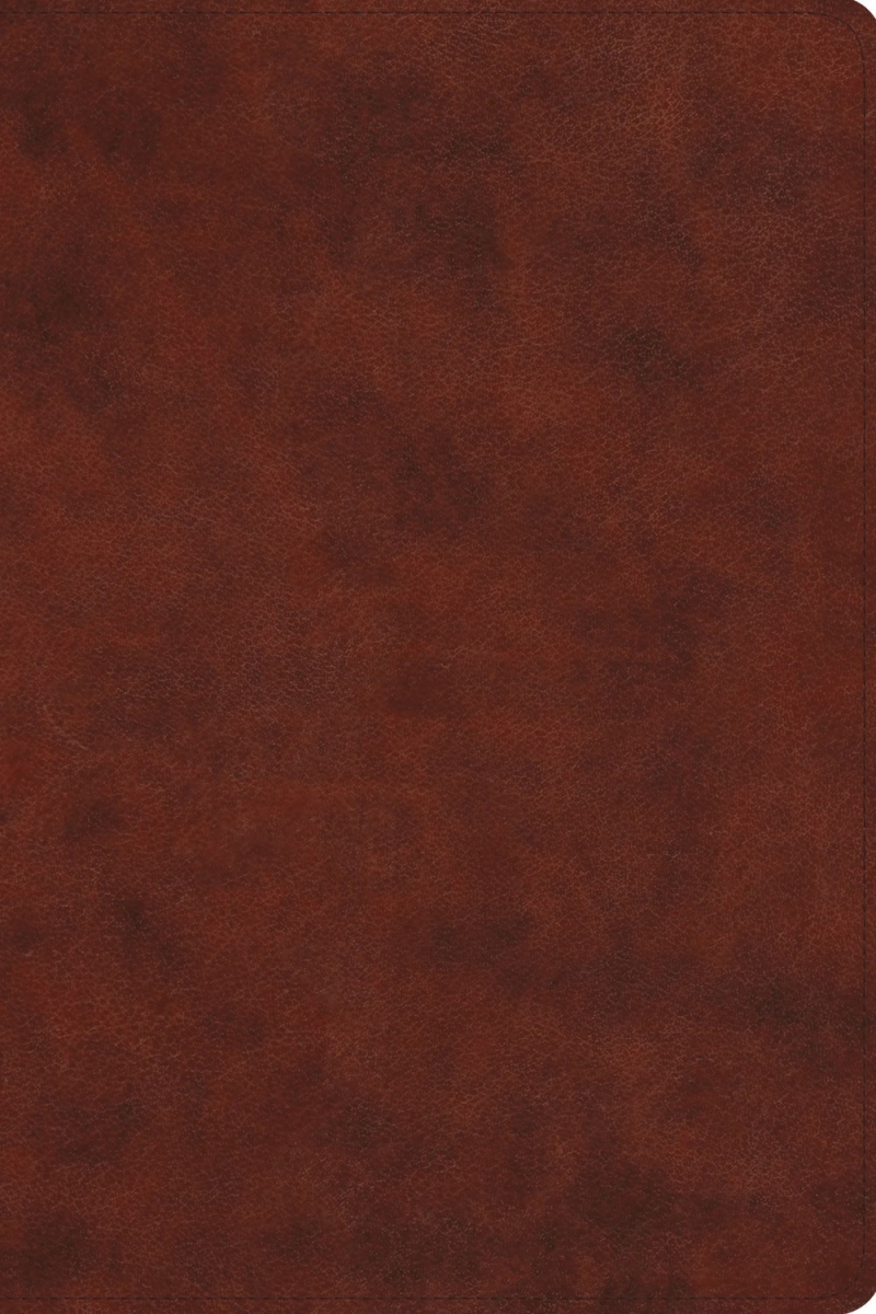 379647 ESV Everyday Gospel Bible - Chestnut TruTone