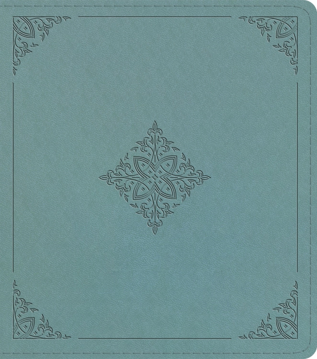 471117 ESV Journaling Study Bible - Paris Sky Fleur-de-lis Design TruTone Over Board