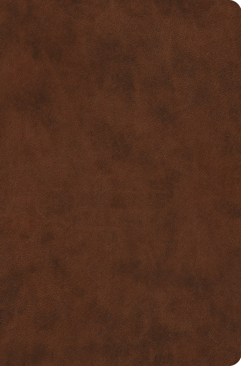 471180 ESV Value Compact Bible - Brown Trutone