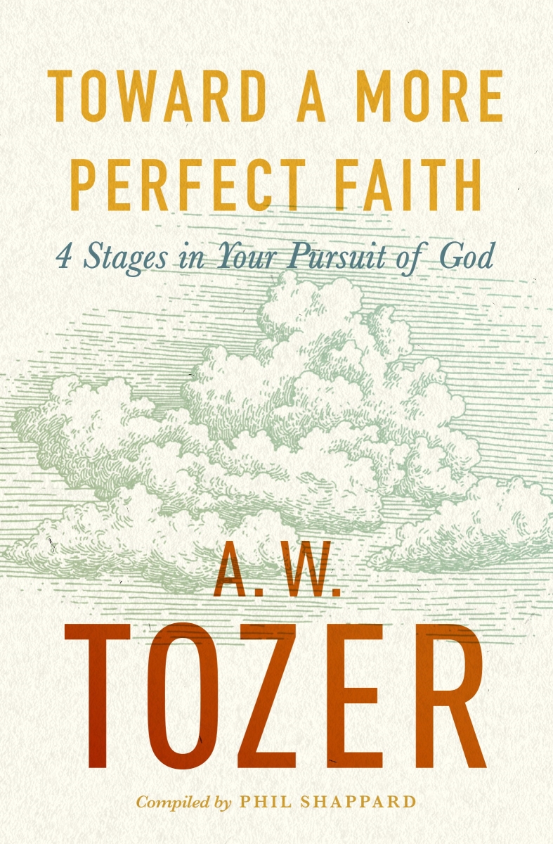 205330 Toward A More Perfect Faith Book