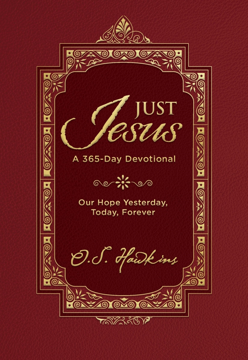 Nelson & Nelson Books 471529 Just Jesus Book