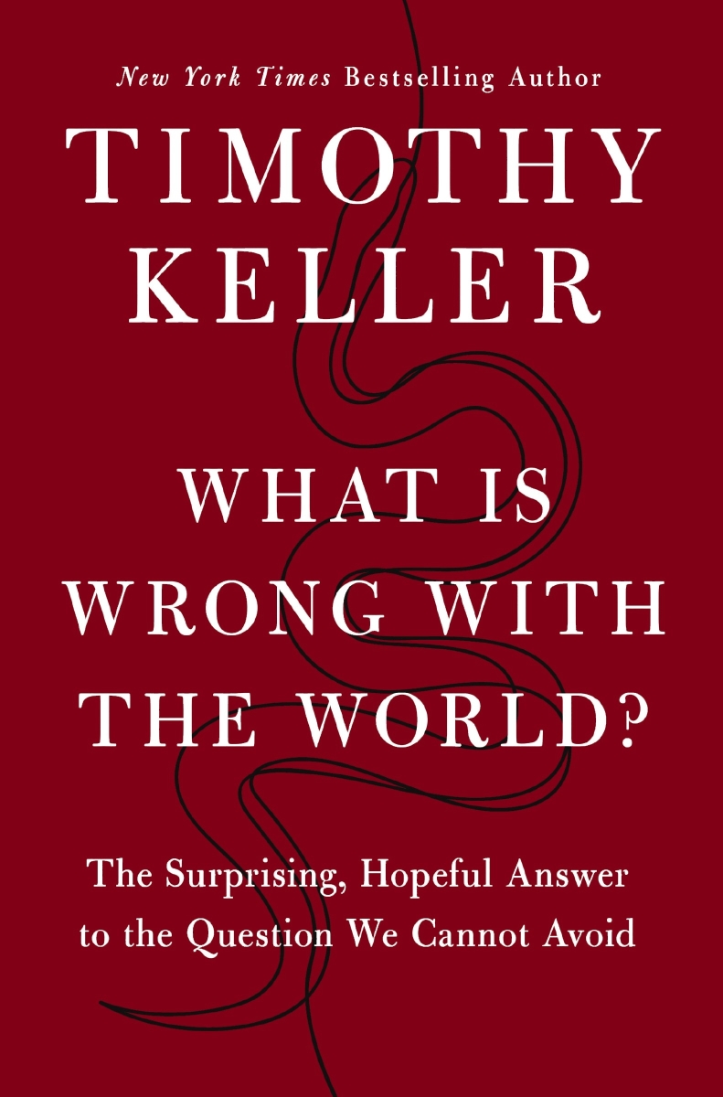 471711 What Is Wrong with The World Book