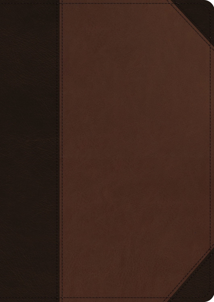 379632 ESV Archaeology Study Bible - Brown & Walnut Portfolio Design TruTone