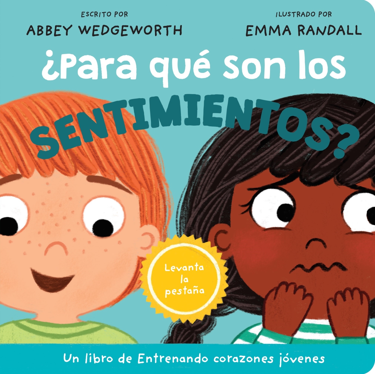 480297 Para que son los sentimientos - What Are Feelings for Book