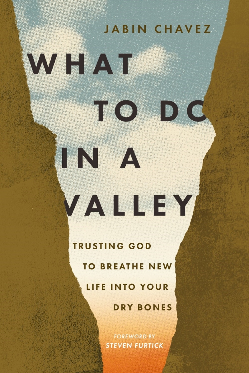 Nelson & Nelson Books 70958X What To Do In A Valley Book