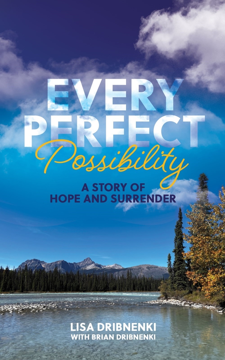 367784 Every Perfect Possibility Book
