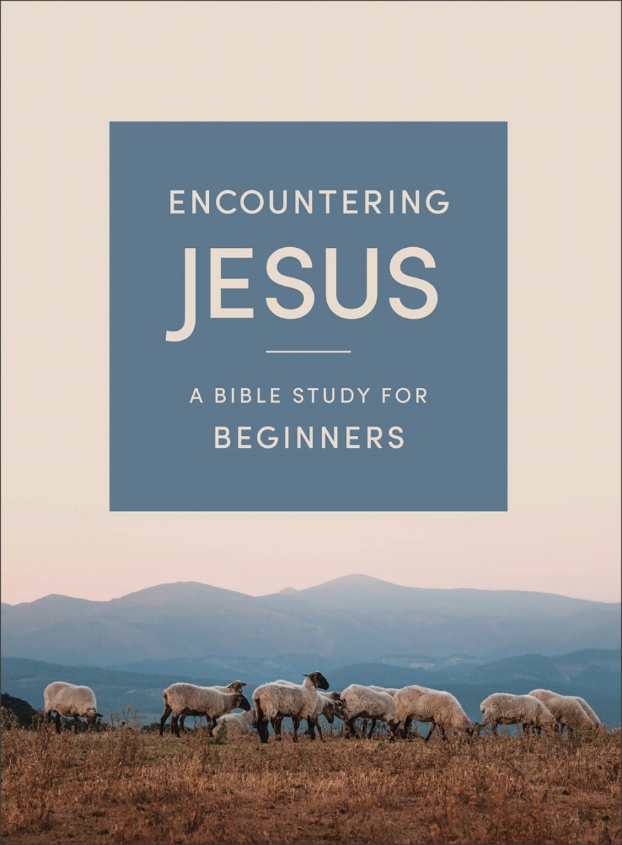 731184 Encountering Jesus Book