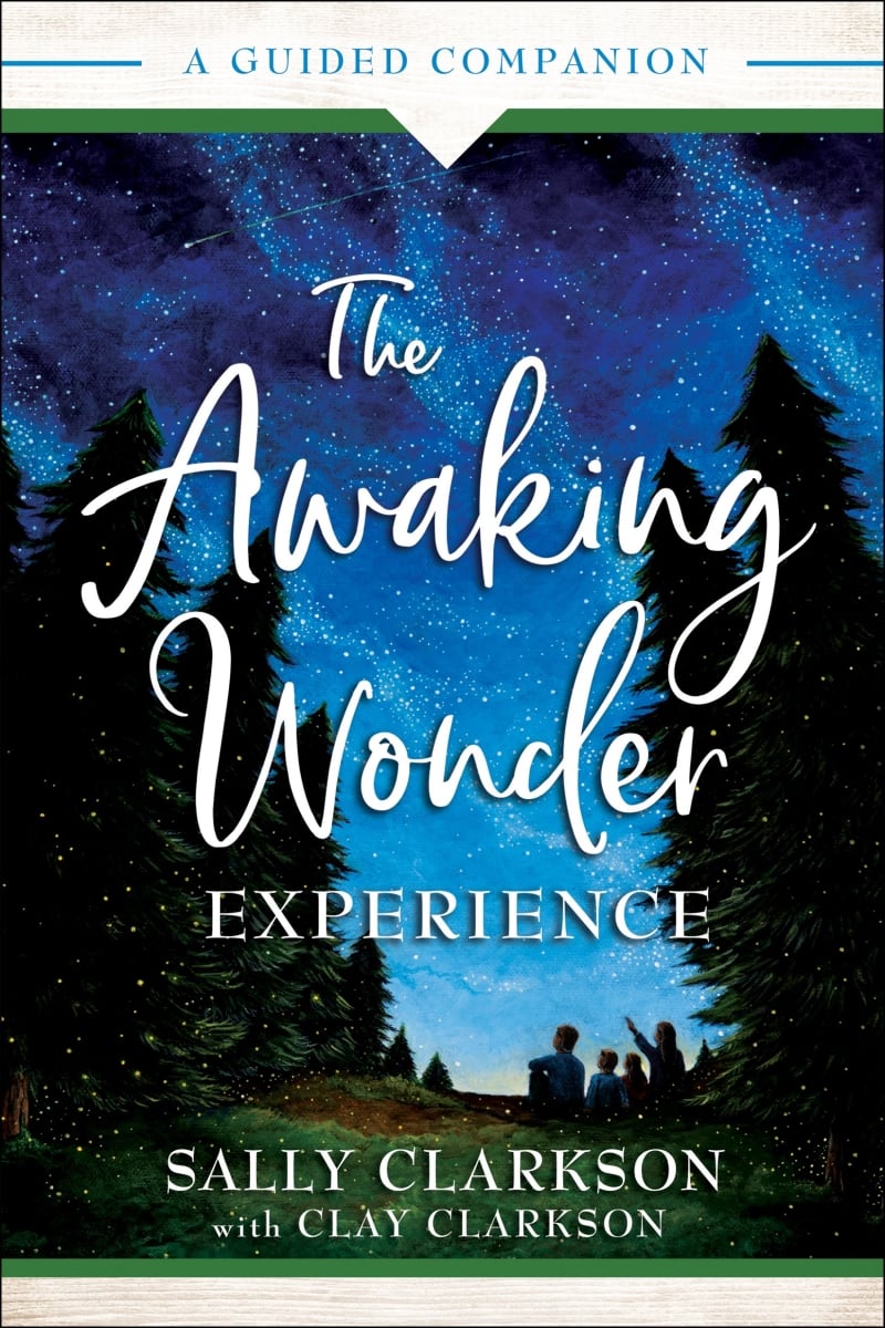 Baker Publishing Group 169184 The Awaking Wonder Experience Book
