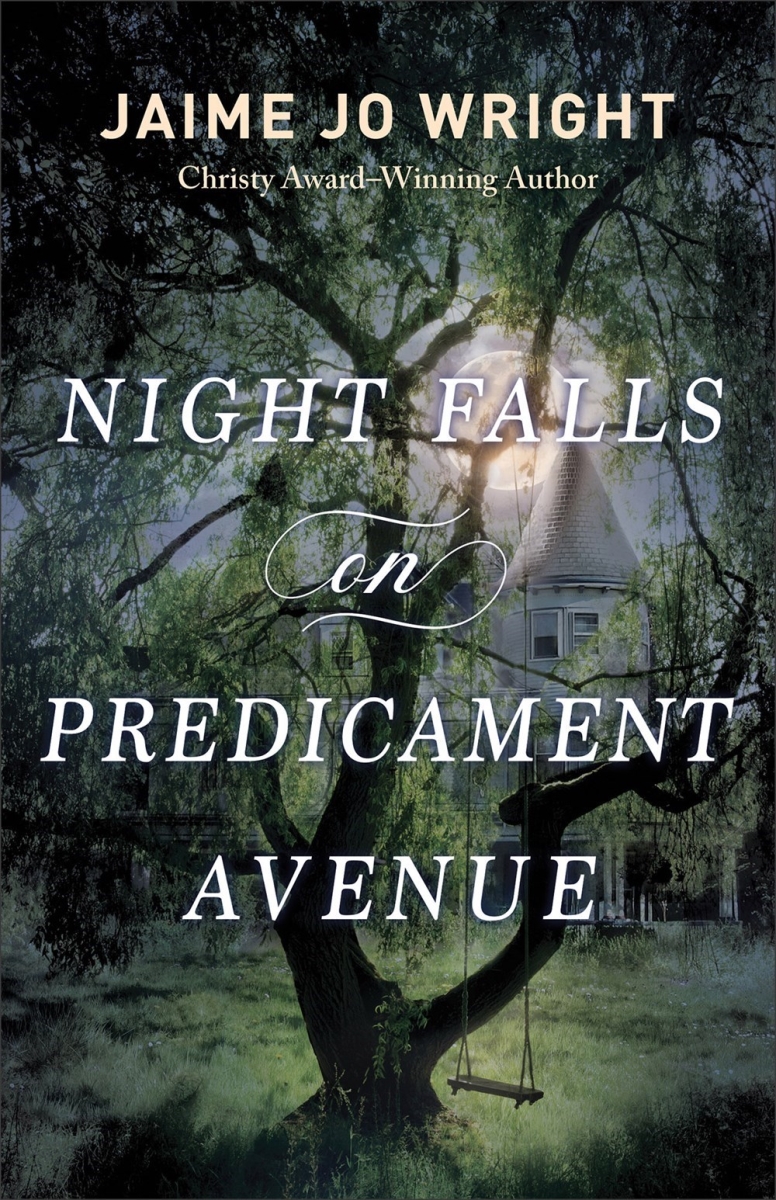 Baker Publishing Group 34640X Night Falls On Predicament Avenue Book