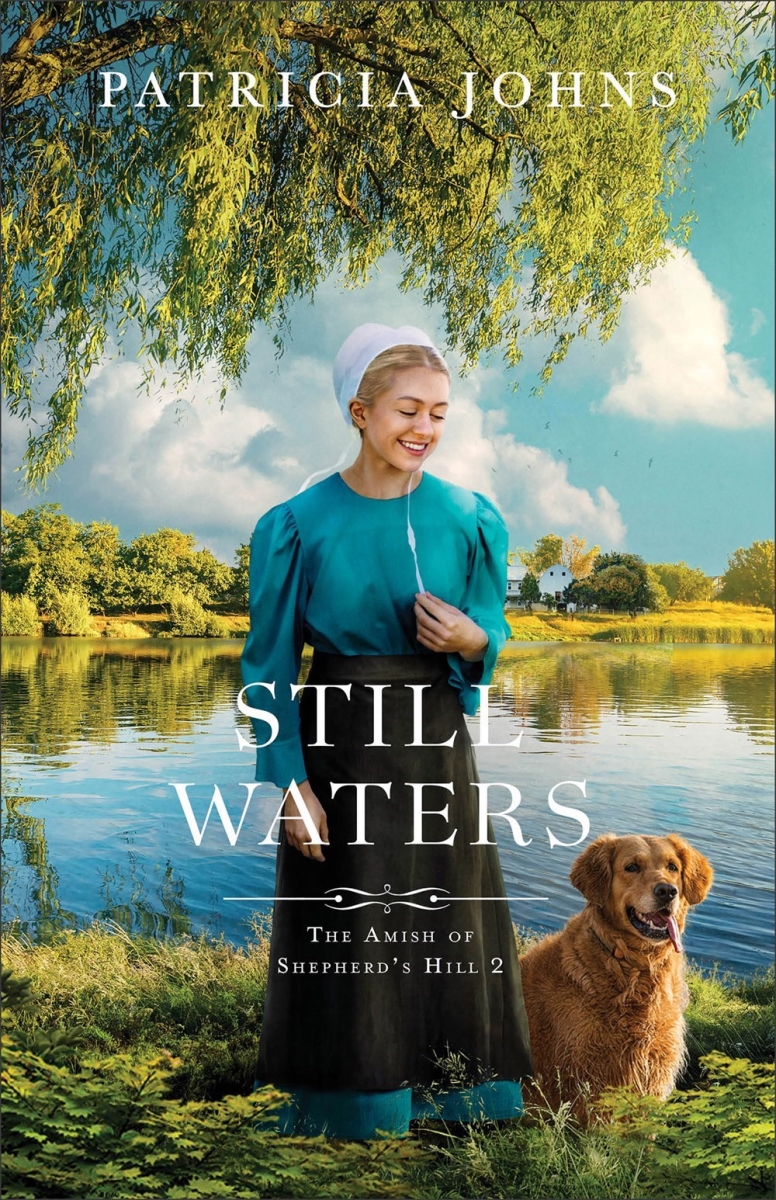 Baker Publishing Group 480060 Still Waters - The Amish of Shepherds Hill No.2 Book