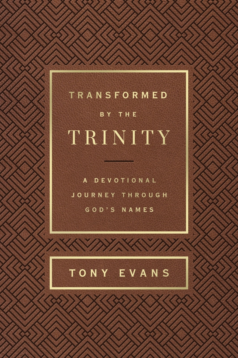 292306 Transformed by The Trinity - Milano Softone Book