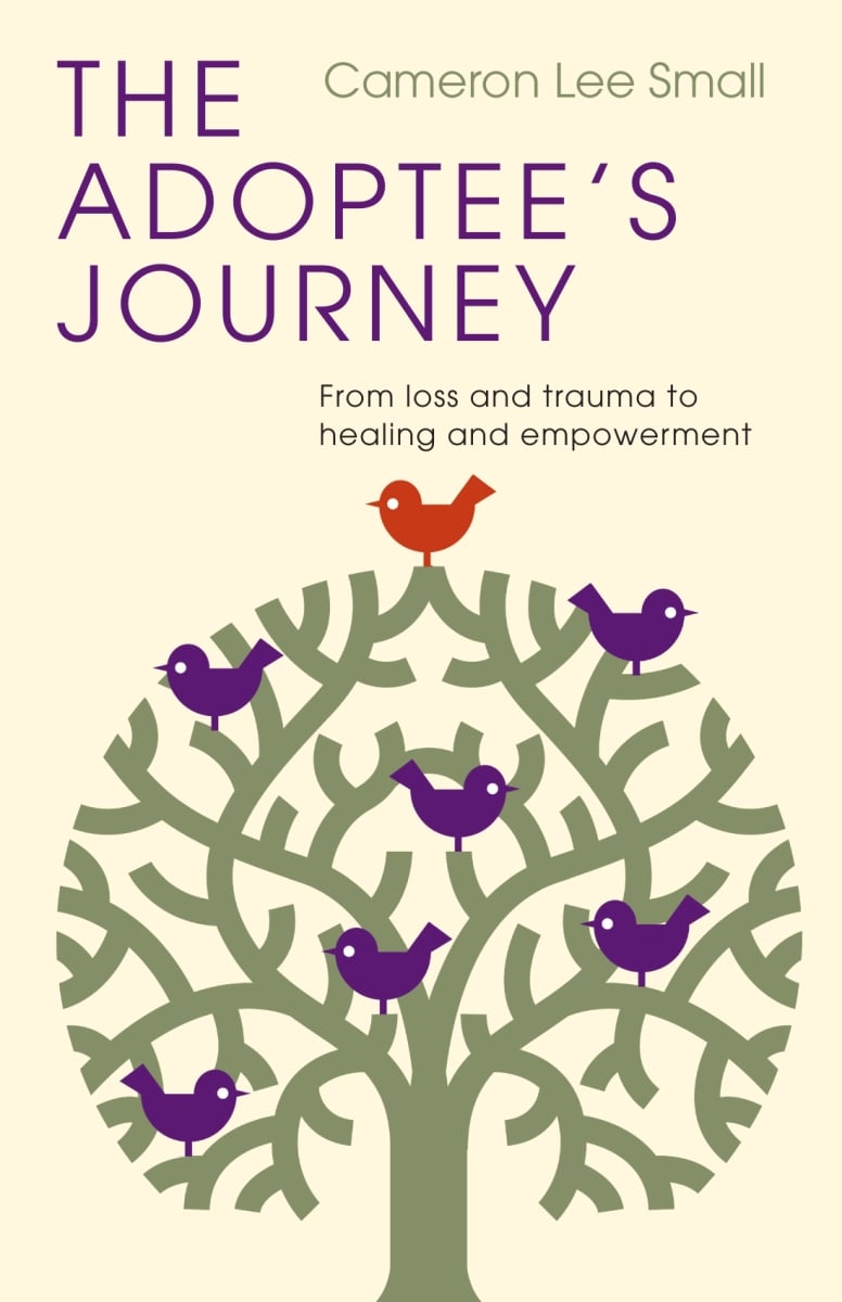 381208 The Adoptees Journey Book