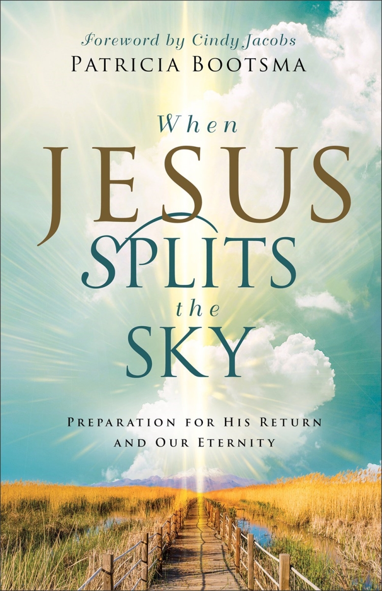 Baker Publishing Group 342756 When Jesus Splits The Sky Book