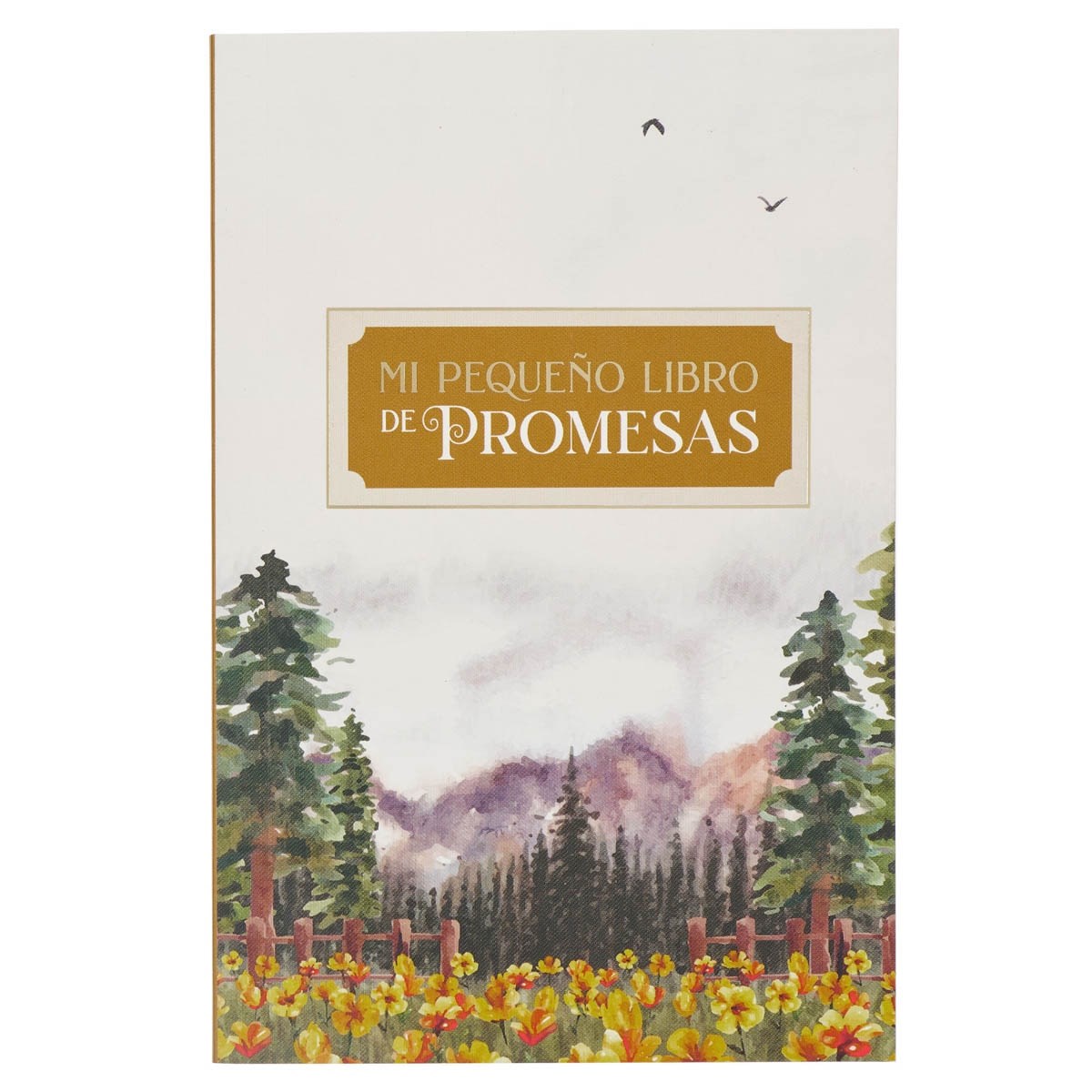 395605 Spanish - My Little Book Of Promises Book