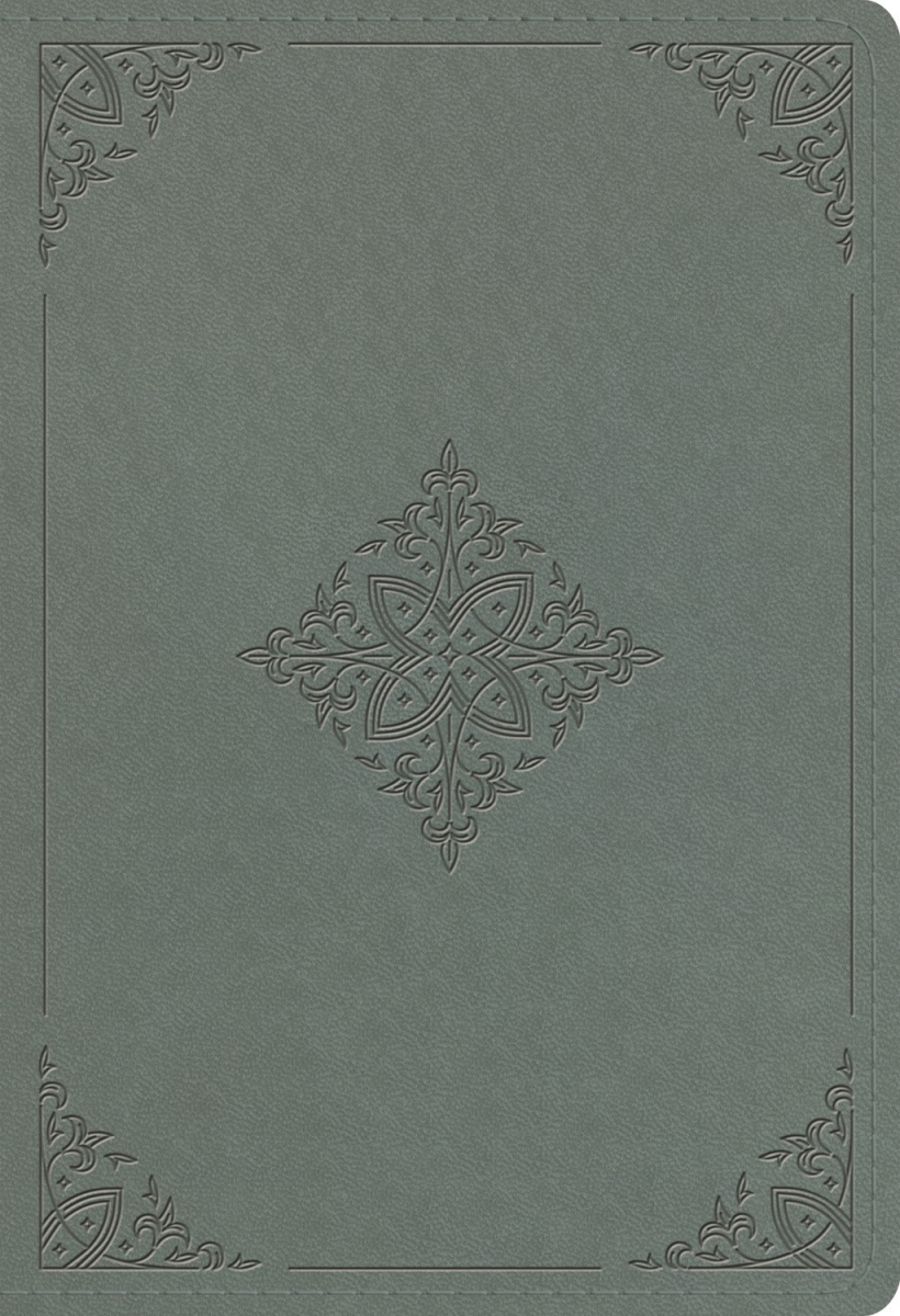 361568 ESV Student Study Bible - Paris Sky Fleur-de-lis Design TruTone