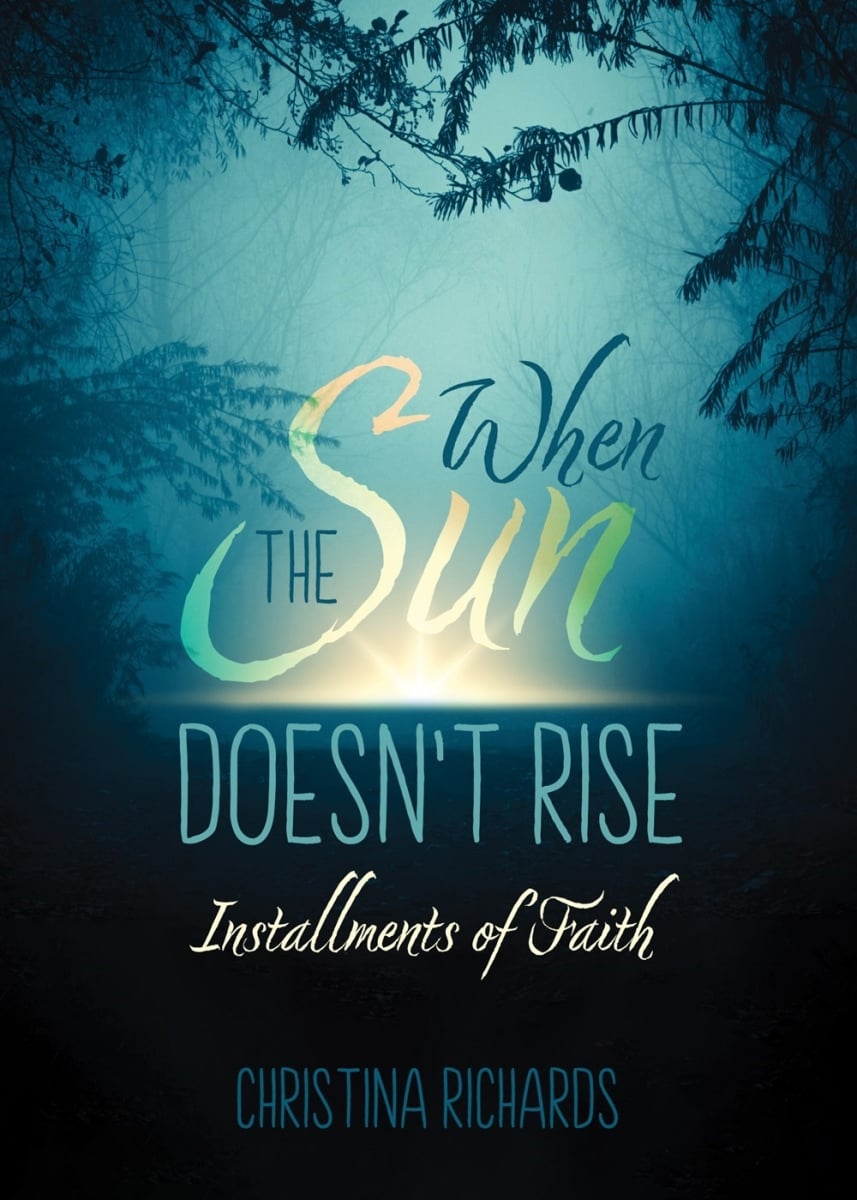 463342 When the Sun Doesnt Rise Book