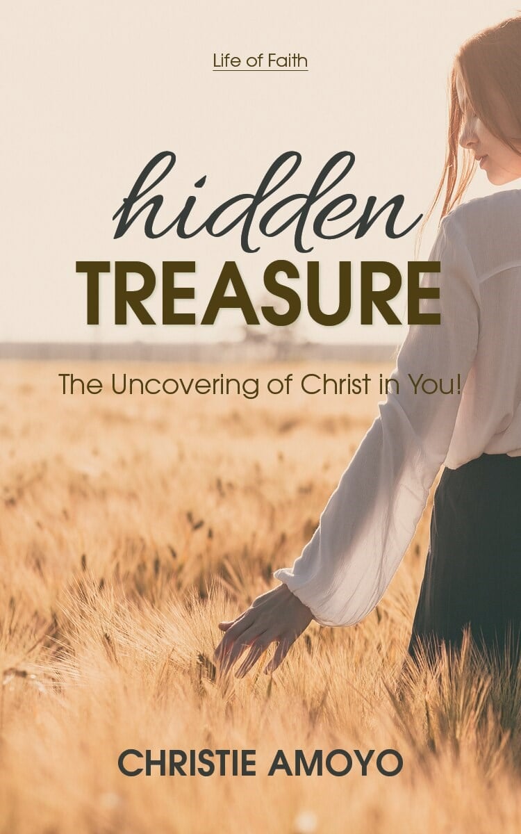 391072 Hidden Treasure Book