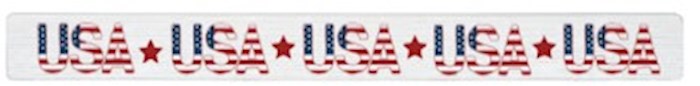 696284 16 x 1.5 in. USA Repeated Talking Stick
