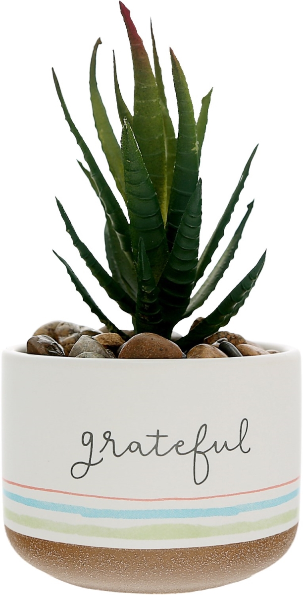 Pavilion 291510 Artificial Potted Plant - Grateful - 5 in.