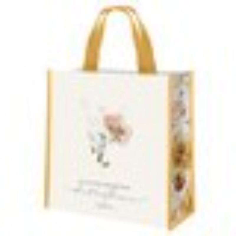 630694 Tote - I Can Do All Things Through Christ - 14 x 16 x 8.5 in.