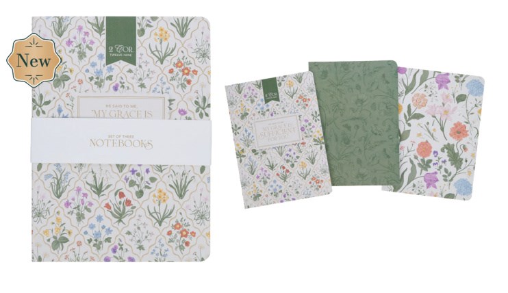 754073 My Grace is Sufficient for You Notebook Set - 2 Corinthians 12-9 - 3 Piece