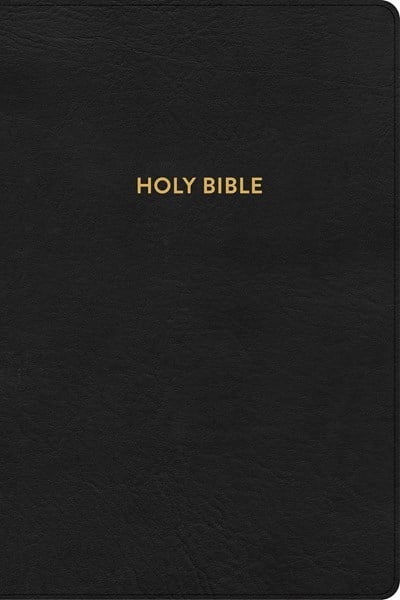 233541 KJV Rainbow Study Bible - Black LeatherTouch Indexed