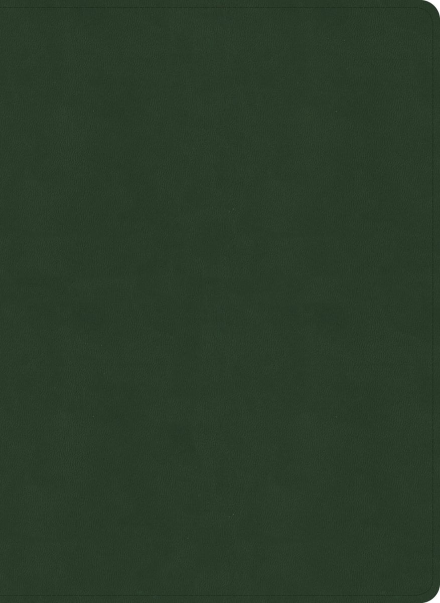 41281X NASB 2020 Study Bible - Olive LeatherTouch Indexed