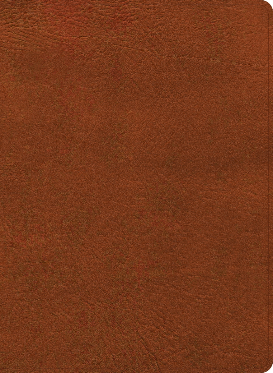41276X NASB 2020 Study Bible - Burnt Sienna LeatherTouch Indexed