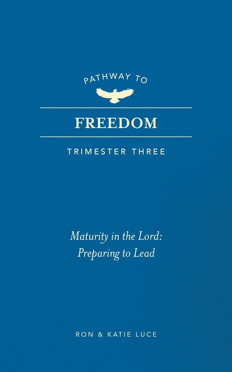 479588 Pathway to Freedom - Trimester Three Book