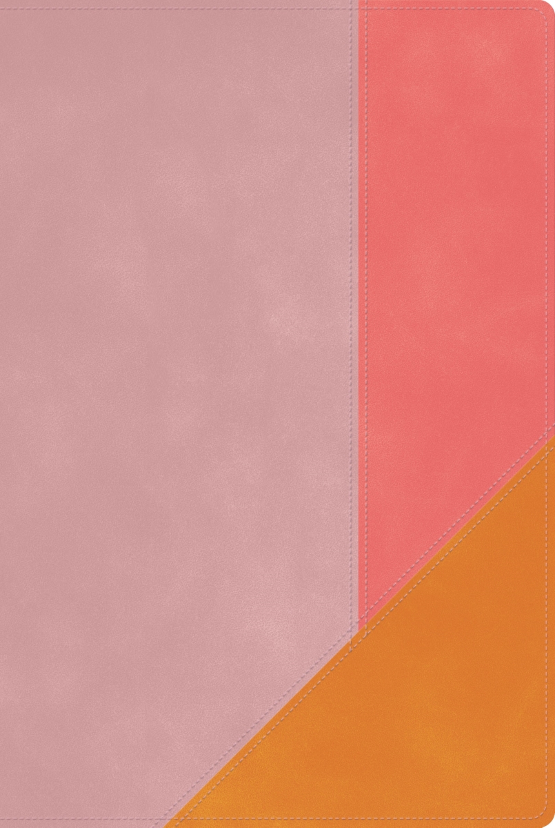 650661 RVR 1960 Biblia De Estudio Arcoiris Rainbow Study Bible - Pink Quartz Leathertouch Indexed