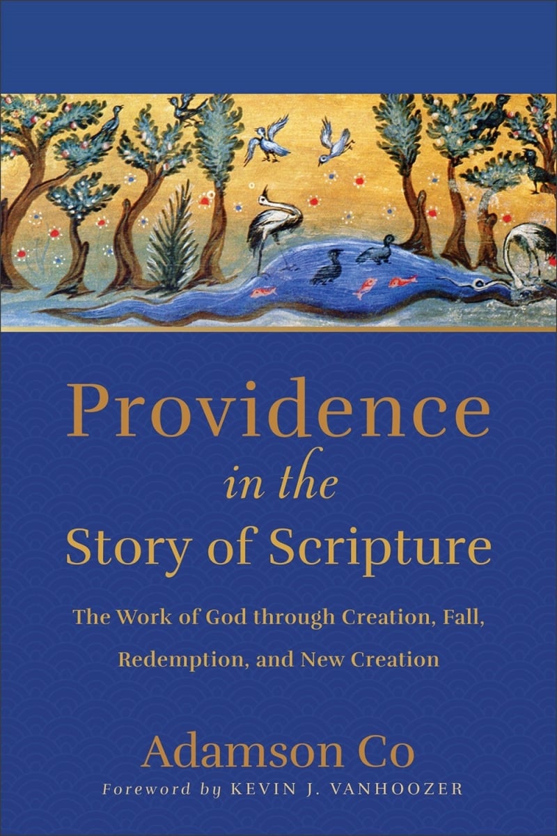 Baker Publishing Group 34650X Providence in The Story of Scripture Book