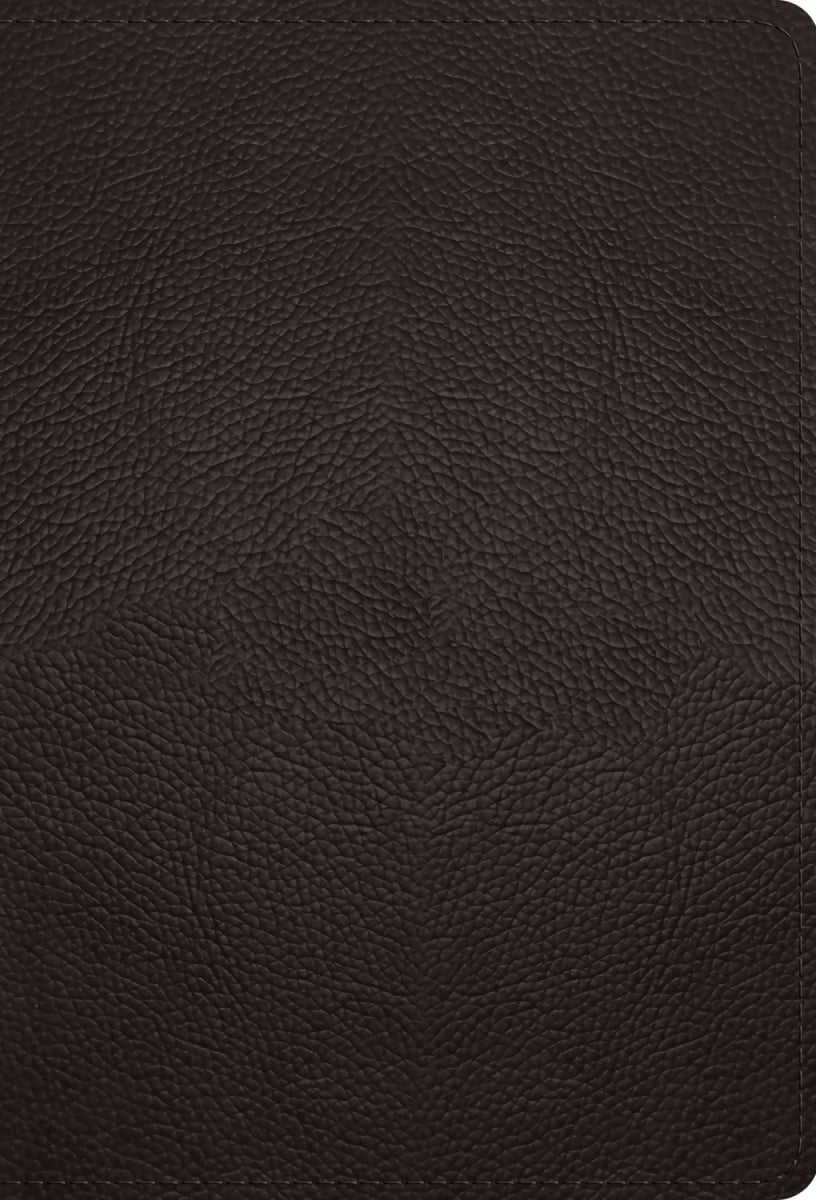 47111X ESV Large Print Compact Bible - Rl - Deep Brown Buffalo Leather