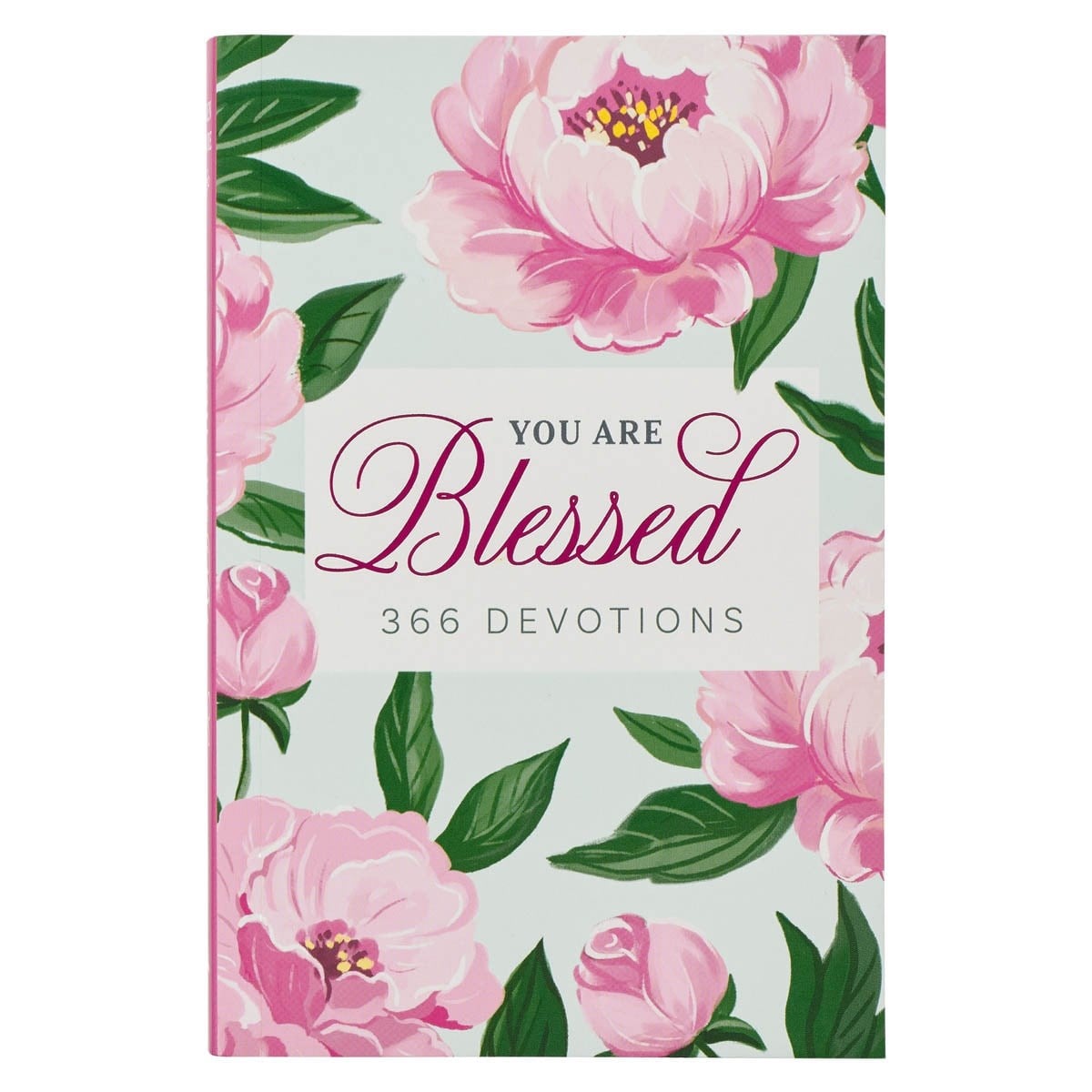 304380 Devotional - You Are Blessed Softcover