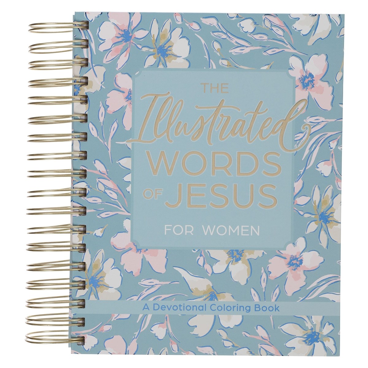 348496 The Illustrated Words of Jesus for Women Book