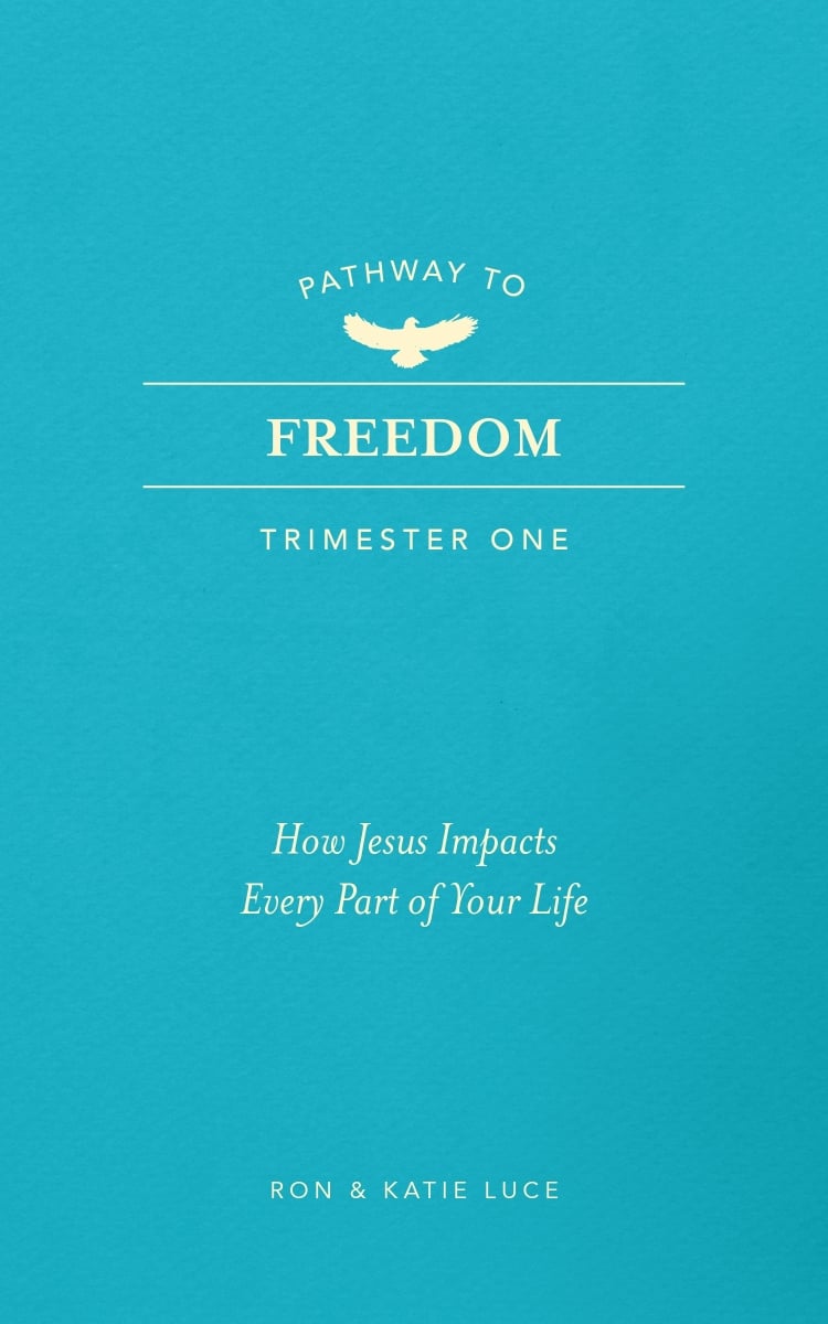 479587 Pathway to Freedom - Trimester One Book