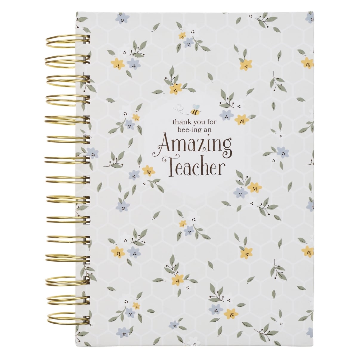 41201X Journal Wirebound - Amazing Teacher