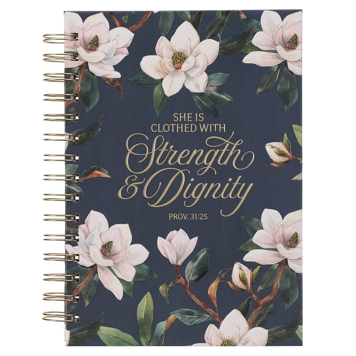 380316 Journal Wirebound - Teal Strength & Dignity Prov. 31-25 Book