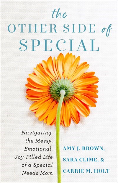Baker Publishing Group 311704 The Other Side of Special Book