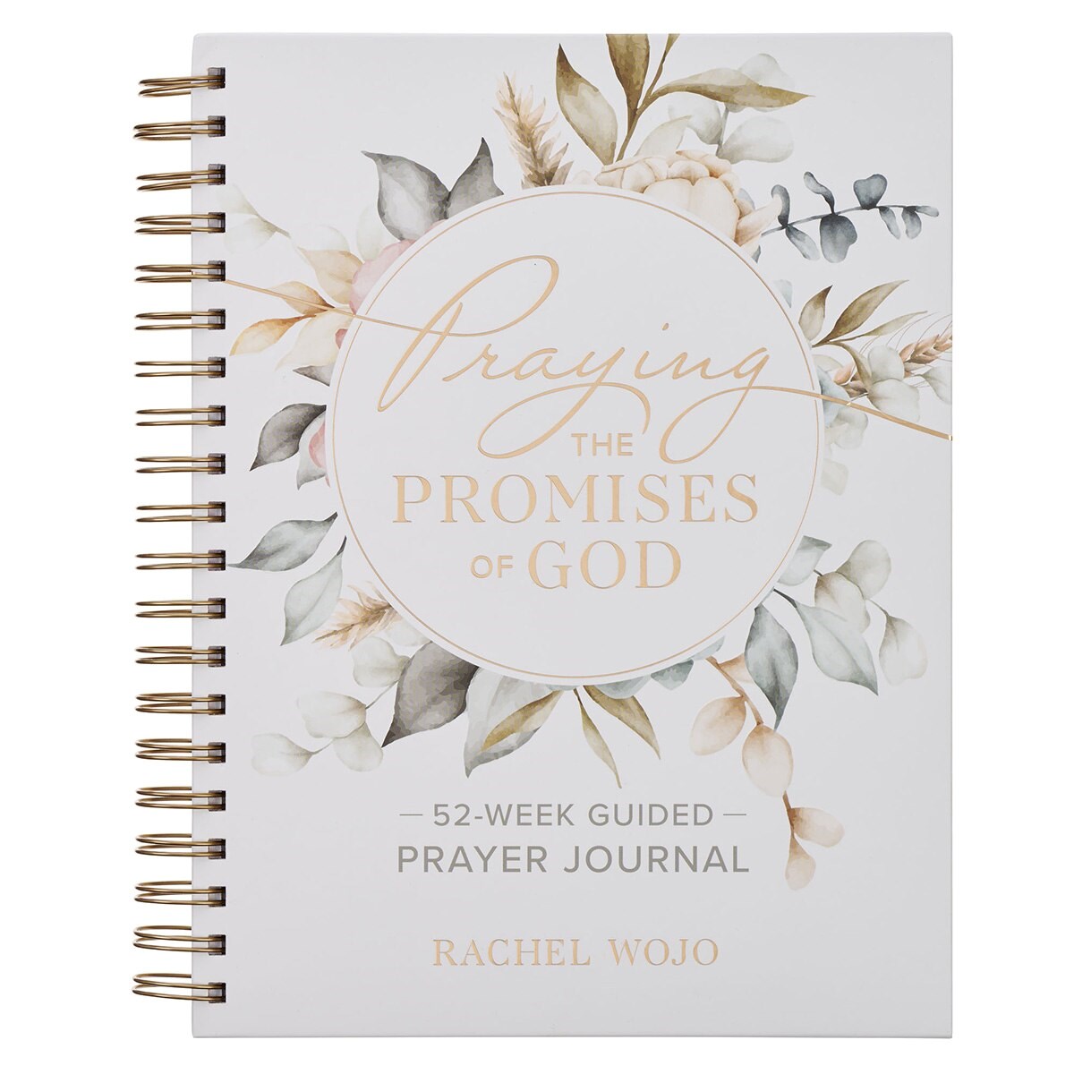 480271 Praying The Promises of God Book